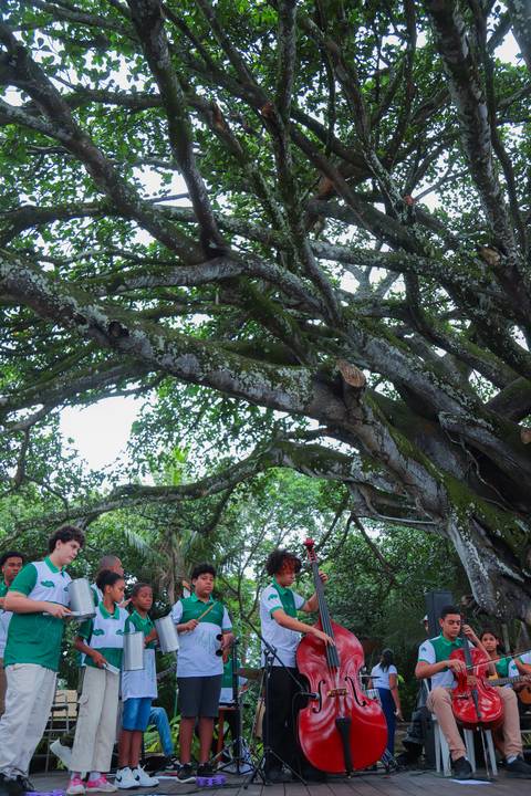 escola bilíngue em Praia do Forte educação premium Bahia Villa Global Education melhores escolas da Linha Verde onde matricular meu filho em Praia do Forte Castelo Garcia D’Ávila eventos plantio de ipê e pau-brasil escolas com foco fotografo praia '