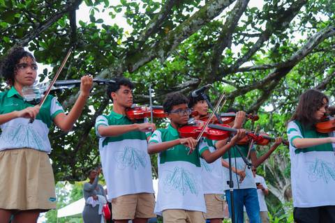 escola bilíngue em Praia do Forte educação premium Bahia Villa Global Education melhores escolas da Linha Verde onde matricular meu filho em Praia do Forte Castelo Garcia D’Ávila eventos plantio de ipê e pau-brasil escolas com foco fotografo praia '