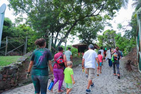 escola bilíngue em Praia do Forte educação premium Bahia Villa Global Education melhores escolas da Linha Verde onde matricular meu filho em Praia do Forte Castelo Garcia D’Ávila eventos plantio de ipê e pau-brasil escolas com foco fotografo praia '