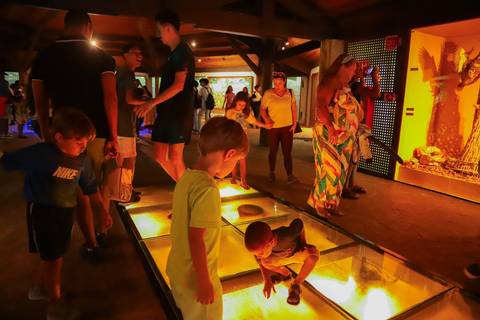 escola bilíngue em Praia do Forte educação premium Bahia Villa Global Education melhores escolas da Linha Verde onde matricular meu filho em Praia do Forte Castelo Garcia D’Ávila eventos plantio de ipê e pau-brasil escolas com foco fotografo praia '