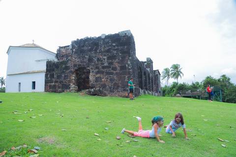 escola bilíngue em Praia do Forte educação premium Bahia Villa Global Education melhores escolas da Linha Verde onde matricular meu filho em Praia do Forte Castelo Garcia D’Ávila eventos plantio de ipê e pau-brasil escolas com foco fotografo praia '