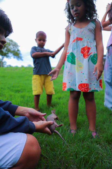 escola bilíngue em Praia do Forte educação premium Bahia Villa Global Education melhores escolas da Linha Verde onde matricular meu filho em Praia do Forte Castelo Garcia D’Ávila eventos plantio de ipê e pau-brasil escolas com foco fotografo praia '