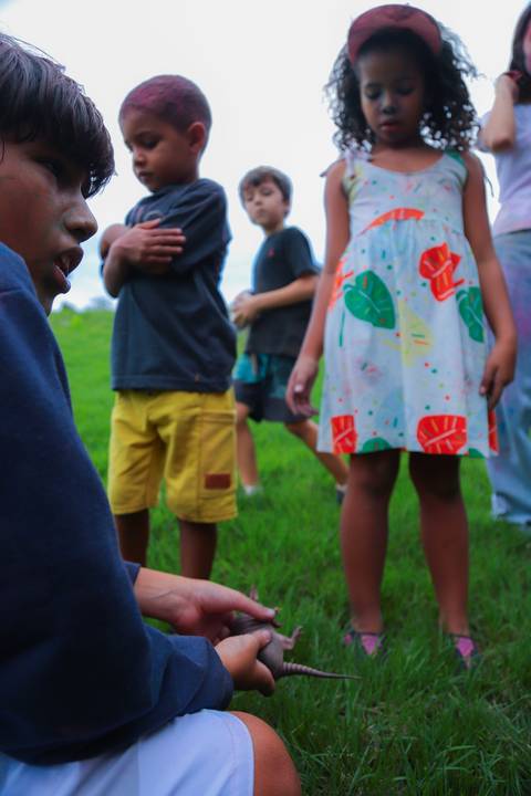 escola bilíngue em Praia do Forte educação premium Bahia Villa Global Education melhores escolas da Linha Verde onde matricular meu filho em Praia do Forte Castelo Garcia D’Ávila eventos plantio de ipê e pau-brasil escolas com foco fotografo praia '