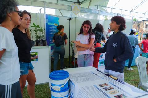 escola bilíngue em Praia do Forte educação premium Bahia Villa Global Education melhores escolas da Linha Verde onde matricular meu filho em Praia do Forte Castelo Garcia D’Ávila eventos plantio de ipê e pau-brasil escolas com foco fotografo praia '