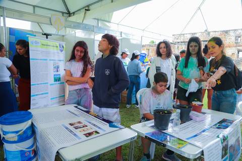 escola bilíngue em Praia do Forte educação premium Bahia Villa Global Education melhores escolas da Linha Verde onde matricular meu filho em Praia do Forte Castelo Garcia D’Ávila eventos plantio de ipê e pau-brasil escolas com foco fotografo praia '
