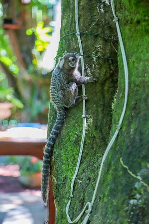 Recepção intimista do batizado na Refúgio da Vila, em Praia do Forte — momento especial capturado por Waldyr Lantyer.'