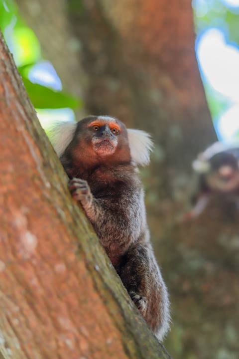 Registros delicados de encontros familiares após o batismo de Catarina na charmosa pousada Refúgio da Vila.'