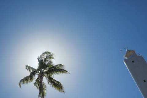 Experiência inesquecível com ensaio fotográfico em Praia do Forte, Bahia. Guia turístico e fotógrafo local registrando a essência cultural e natural do destino.”'
