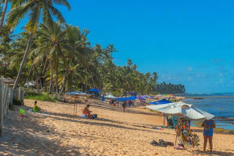 Fotógrafo em Praia do Forte Bahia, O que fazer em Praia do Forte?'