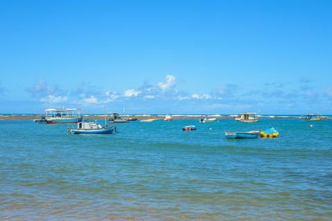 Experiência inesquecível com ensaio fotográfico em Praia do Forte, Bahia. Guia turístico e fotógrafo local registrando a essência cultural e natural do destino.”'