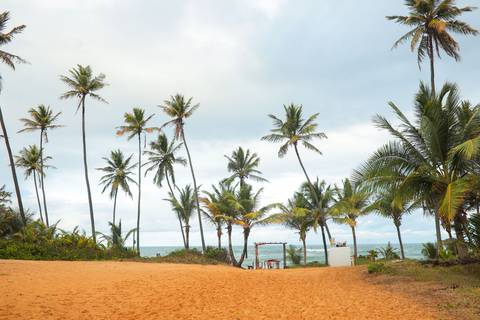 A fotografia de casamento na praia ganha nova vida neste registro cheio de emoção, luz natural e verdade, no cenário paradisíaco de Praia do Forte-Ba'