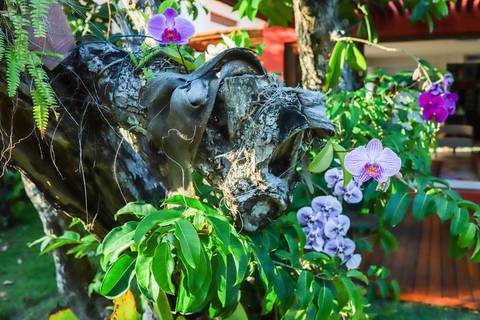 Ensaio fotográfico feminino em Praia do Forte-BA com amigas de Curitiba. Fotógrafo Waldyr Lantyer capturando sorrisos, abraços e momentos de alegria.'