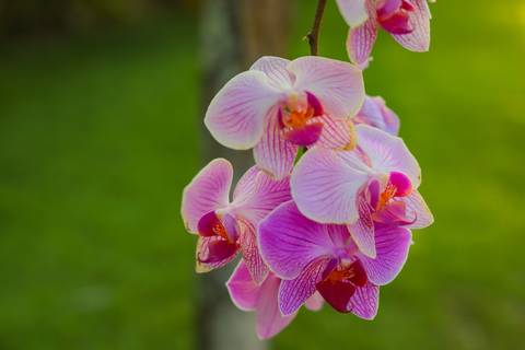 Fotografia espontânea de amigas em Praia do Forte, Bahia. Registro natural feito pelo fotógrafo Waldyr Lantyer durante ensaio de viagem e amizade feminina à beira-mar.'