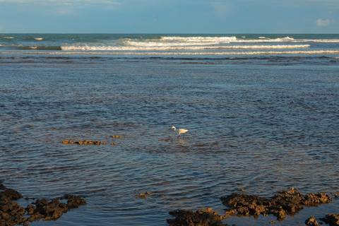Momentos que o tempo não apaga. Um pôr do sol mágico em Praia do Forte-BA para eternizar os 50 anos de amor de Elisa e Edson.'