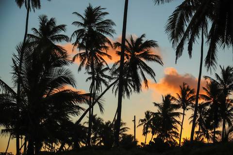 O que fazer em Praia do Forte, Bahia? Que tal um ensaio fotográfico ao entardecer, com o mar, a luz dourada e sua família vivendo uma experiência de conexão e alegria?'
