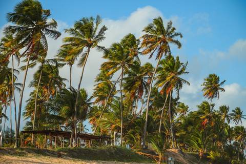 Celine descobrindo o mundo entre o mar e o pôr do sol na Praia do Forte. Um ensaio fotográfico cheio de ternura e liberdade no Iberostar Selection Bahia, onde cada sorriso reflete a pureza da infância e a alegria de estar em família à beira-mar.'