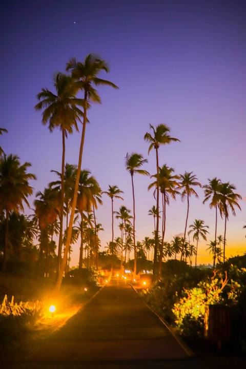 Eternizando a maternidade com arte e sensibilidade no Litoral Norte. O ensaio da Clara no Grand Palladium foi um encontro de luz, mar e muita esperança viva. #ArteFotografica #MaternidadeBahia #EnsaioNoPorDoSol #Imbassai #WaldyrLantyerFotos'