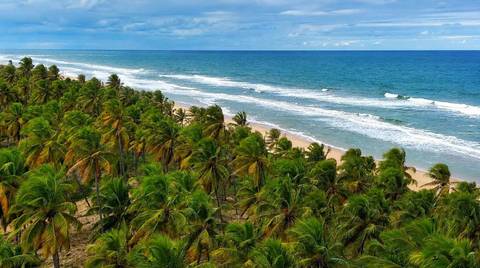 Entre Praia do Forte e Imbassaí, acompanhei uma família ao longo de 10 anos. Fotografar momentos assim no litoral norte da Bahia é eternizar histórias que o tempo jamais apaga. Waldyr Latantyer Foto de Praia do FOrte Bahia'