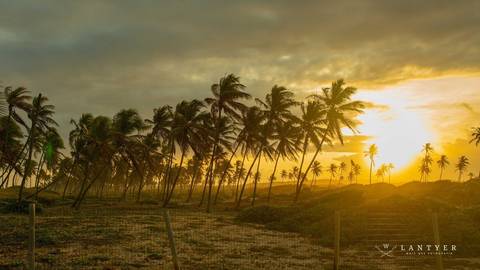 Por do Sol - Tree Bies Resort - Subaúma - Bahia - Festa de Pré-Casamento - Casamento na Praia - Praia do Forte Bahia
'