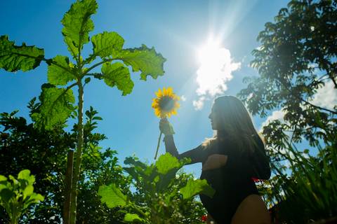 Irmãs gestantes em Anapolis GO
Ensaio gestacional em Anapolis-GO
Ensaio de gestante
Book de gestante
Waldyr José Andrade Lantyer
Waldyr Lantyer
Waldyr Lantyer Fotografia
Estúdio Fotografico
Ensaio fotografico em casa
Girassol Anapolis'