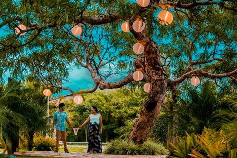 Ensaio gestacional em  Brasília-DF

Ensaio de Gestante Ensaio de familia
Waldyr Lantyer Fotografia'