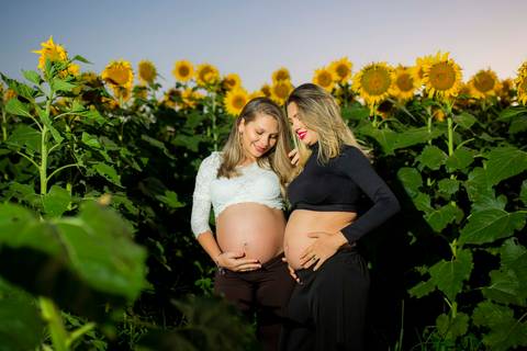Irmãs gestantes em Anapolis GO
Ensaio gestacional em Anapolis-GO
Ensaio de gestante
Book de gestante
Waldyr José Andrade Lantyer
Waldyr Lantyer
Waldyr Lantyer Fotografia
Estúdio Fotografico
Ensaio fotografico em casa
Ensaio nos Girassois
Girassol'