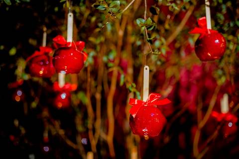 Festa de 15 ano em Luziânia-GO
Ensaio de 15 anos em Basilia
Fotografia de 15 anos por Waldyr Lantyer
Fotografia de 15 anos em Praia do Forte Bahia
Ser Fotógrafo
Waldyr José Andrade Lantyer
Waldyr Lantyer
Aniversário de 15 Anos'