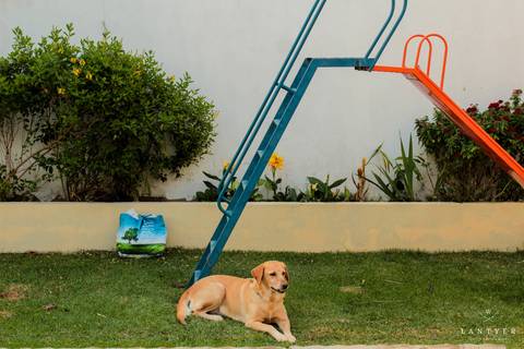 Casamento no campo, casamento em Formosa-GO, Casar, Virei Noiva, Noiva Goiana, Noivas 2021, Amor, Casei em casa, amo a família, casamento no Campo, Itiquira GO, Casar em Brasília, Casar em Posse-GO. Waldyr Lantyer'