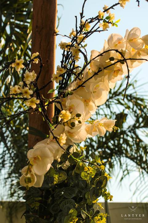 Casamento no campo, casamento em Formosa-GO, Casar, Virei Noiva, Noiva Goiana, Noivas 2021, Amor, Casei em casa, amo a família, casamento no Campo, Itiquira GO, Casar em Brasília, Casar em Posse-GO. Waldyr Lantyer'