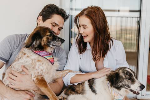 ensaio de casal em casa com cachorros ensaio com cachorros ensaio em casa ensaio villa do golfe ribeirao preto'