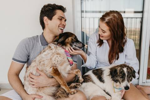 ensaio de casal em casa com cachorros ensaio com cachorros ensaio em casa ensaio villa do golfe ribeirao preto'