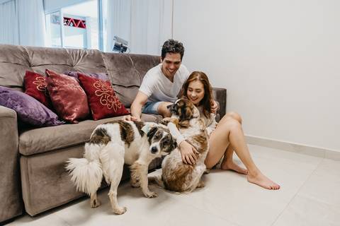 ensaio de casal em casa com cachorros ensaio com cachorros ensaio em casa ensaio villa do golfe ribeirao preto'