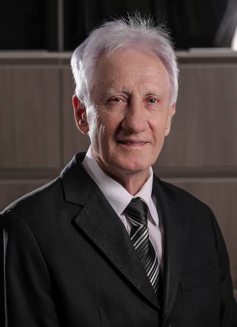 Dr. Paulo Luzzi - Advogado '