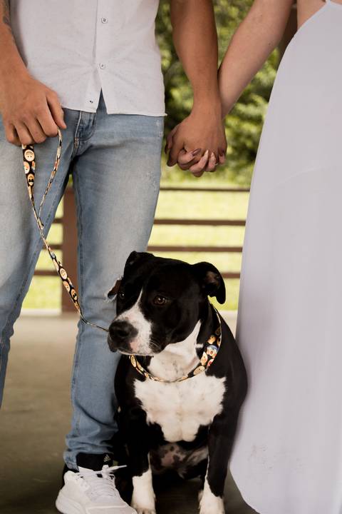 ensaio casal parque lago azul'