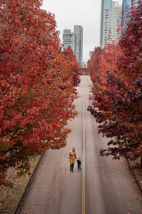 foto na rua do outono '