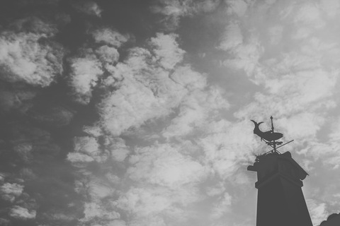 Pormenor de quinta de Baptizado - Miramar'