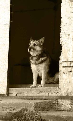 Esperando por tí