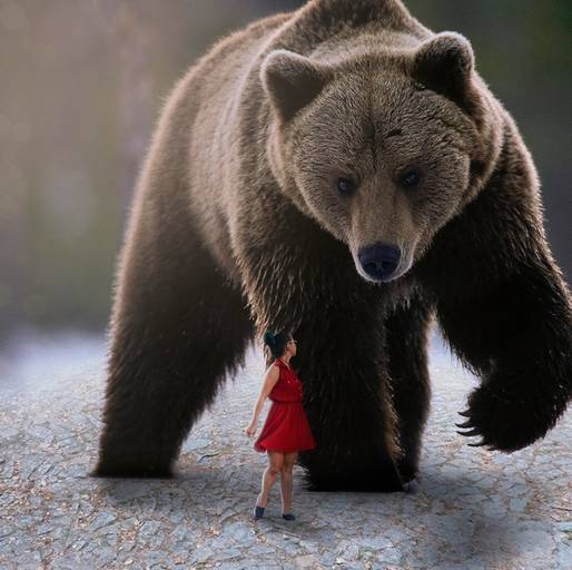 Impossible Dreams | Para sonhar...