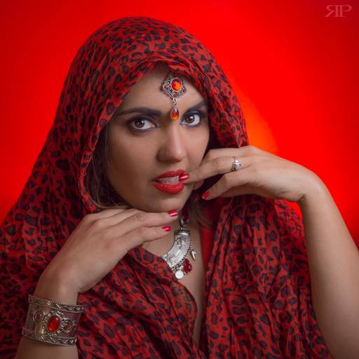 proyecto rojo de fotografia profecional en rosario