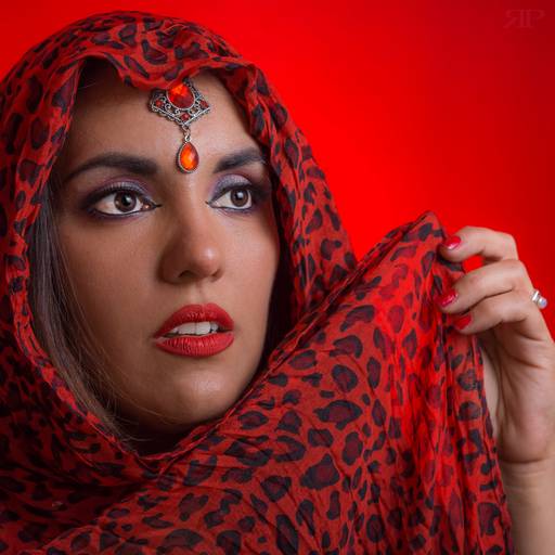 sesion de fotografia proyecto rojo de  profecional en rosario