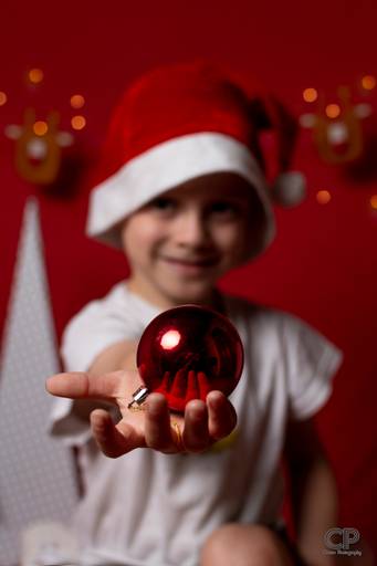 foto de navidad con bolas de color rojo en rosario, fotografos profecionales