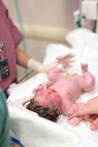 primeiros momentos do recem nascidos