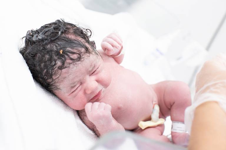 fotos de parto na pro matre