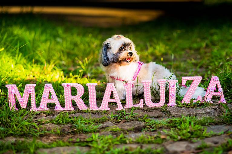 ensaio de gestante, silhueta gestante, fotos de gestante externo, ensaio fotografico no amanhecer, ensaio no entardecer, ensaio de gestante com irmão, ensaio de gestante com familia, gestante loira, gestante feliz e linda.