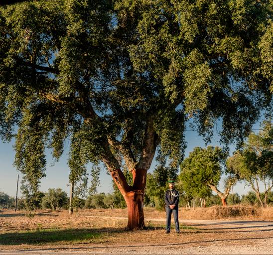 Rocco fotografos, melhores fotografos de casamento em Lisboa