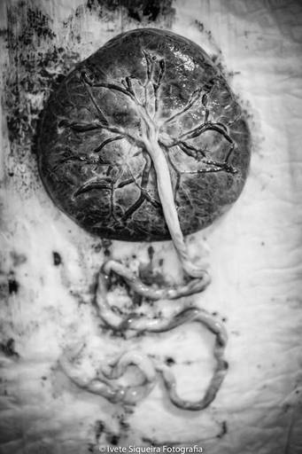 Fotografia de Parto Humanizado