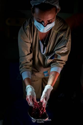 Fotografia de Parto Humanizado