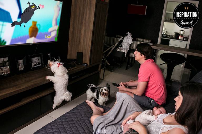 Adriana Costa foi premiada na décima primeira coleção da Inspiration Family Awards pela foto de uma família vendo seu cão pular contra a imagem de um gato na televisão