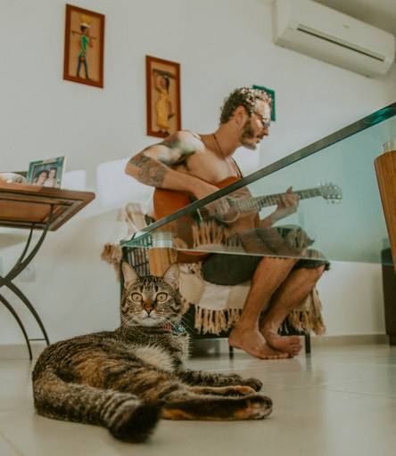 Daniel pina,
musico
mucisita
mestre em musica
baixo acustico
baixista
lenine