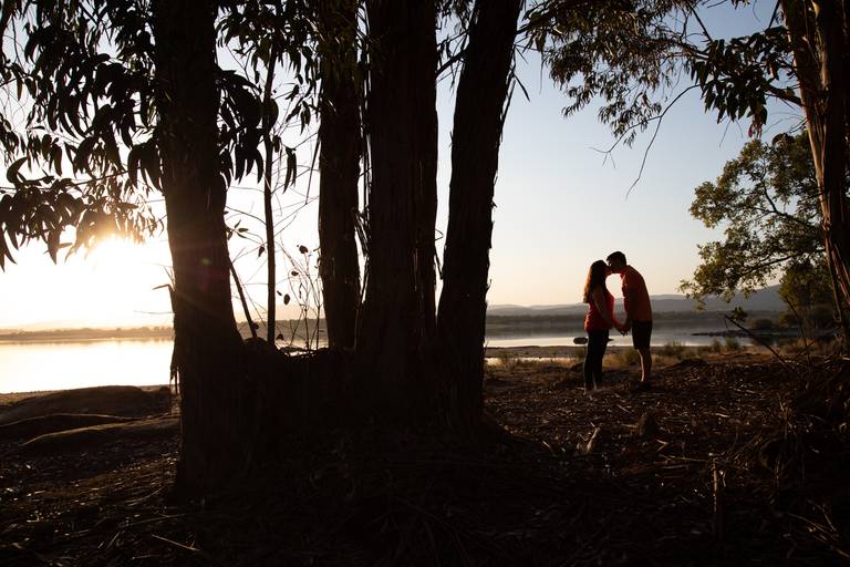 namorados-arvore-beijo-de-maos-dadas-sol-na-linha-do-horizonte